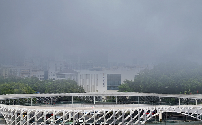 大霧天氣